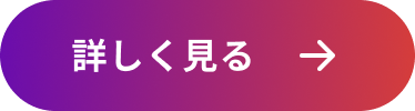 詳しく見る